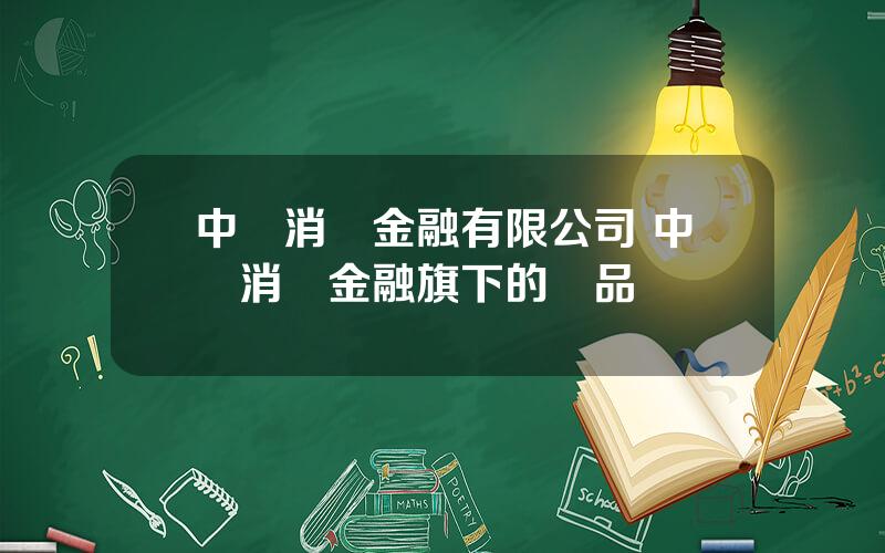中國消費金融有限公司 中銀消費金融旗下的産品